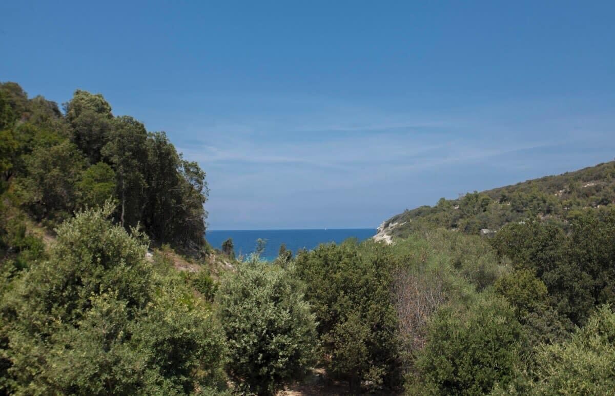 A coastal landscape with dense greenery and a clear view of the sea.