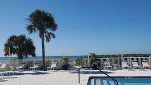A pool area with lounge chairs and a palm tree.