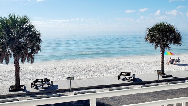 Una playa con palmeras, un muelle de madera y mesas de picnic.
