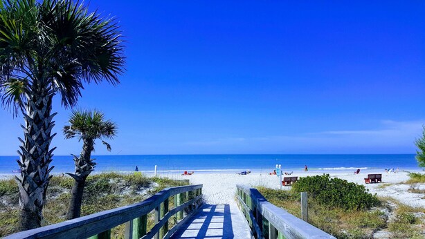 A wooden boardwalk leading to a beach with palm trees and a clear blue sky. - Beautiful Seashell/ Pool Star5vacations (Indian Shores)