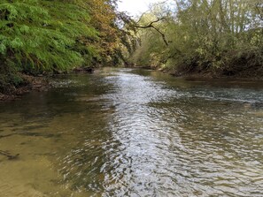A river flowing through a forested area with dense foliage on both sides.