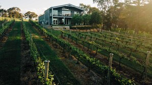 A modern building with large windows, surrounded by vineyard rows. - Mortimer's Wines Loft - Adults Only Retreat (Orange)