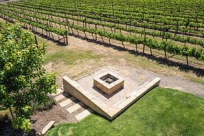 A vineyard with rows of grapevines and a stone fire pit area. - Mortimer's Wines Loft - Adults Only Retreat (Orange)