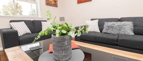 Televisión, Netflix, servicios de streaming y oficina