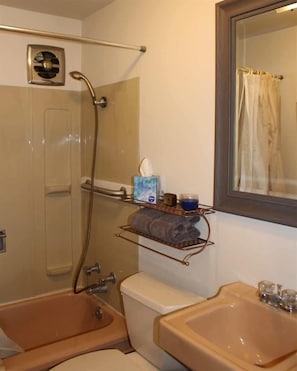 Bathtub, hair dryer, towels