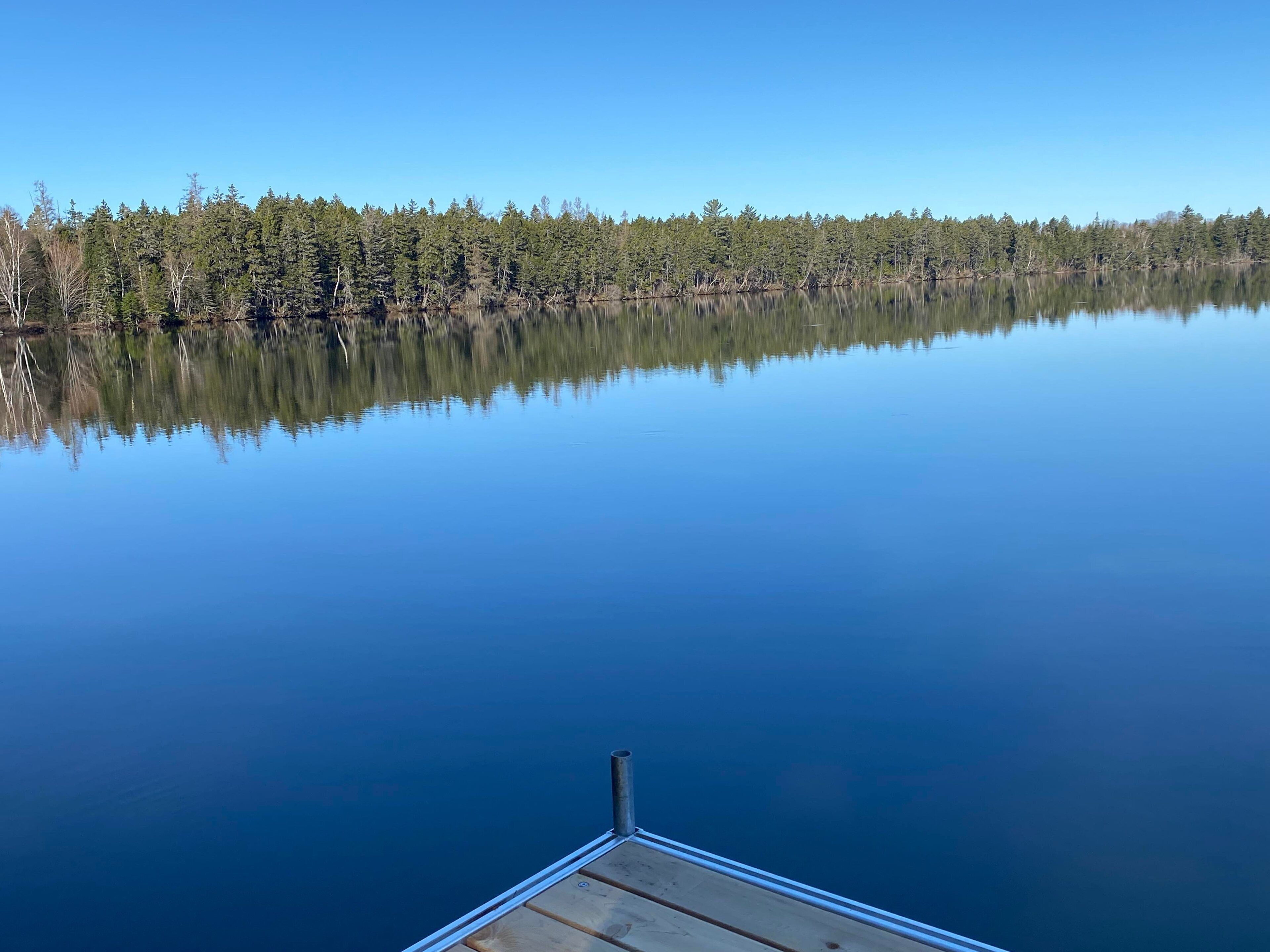 Um lago calmo com um cais que se estende na água, cercado por uma floresta densa.