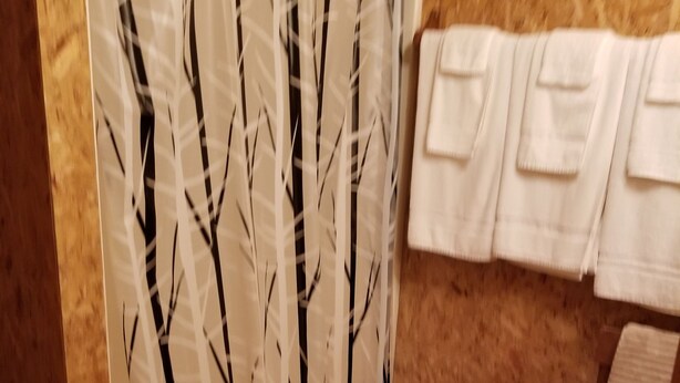 Una habitación con piso de madera, cortina de ducha con estampado de árboles y toallas colgadas en un perchero.