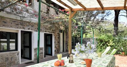 Apartment Pini with Wi-Fi, garden