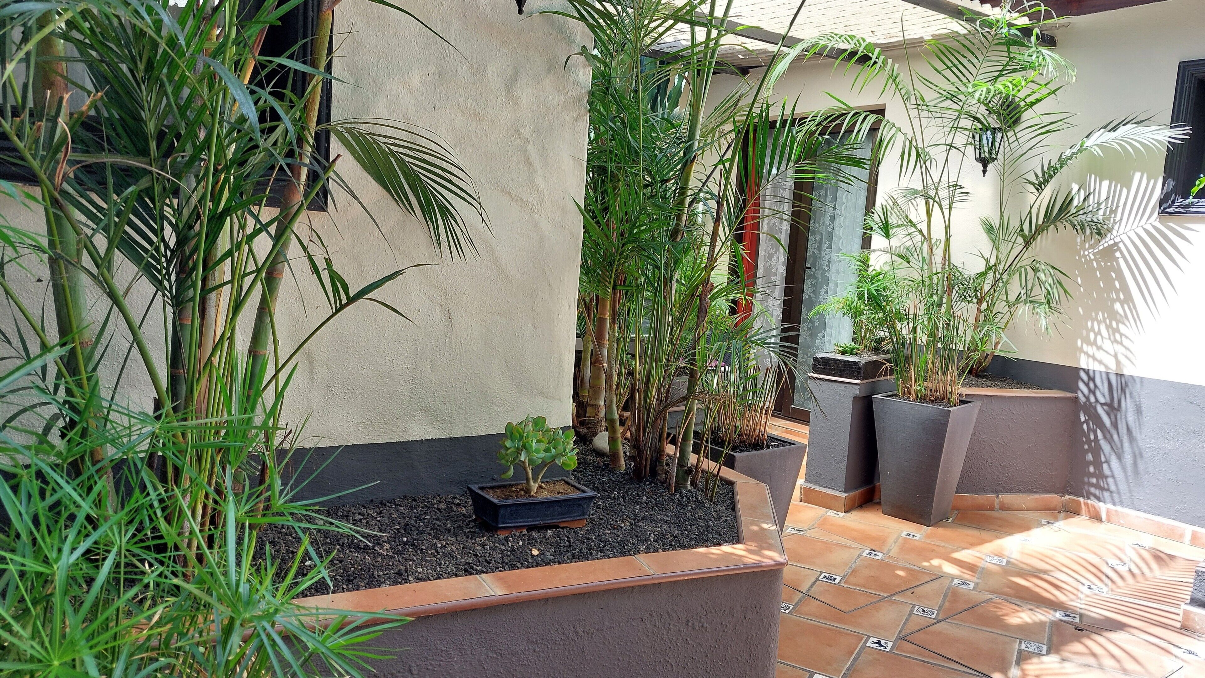 Une cour avec des plantes en pot, un sol carrelé et un mur.