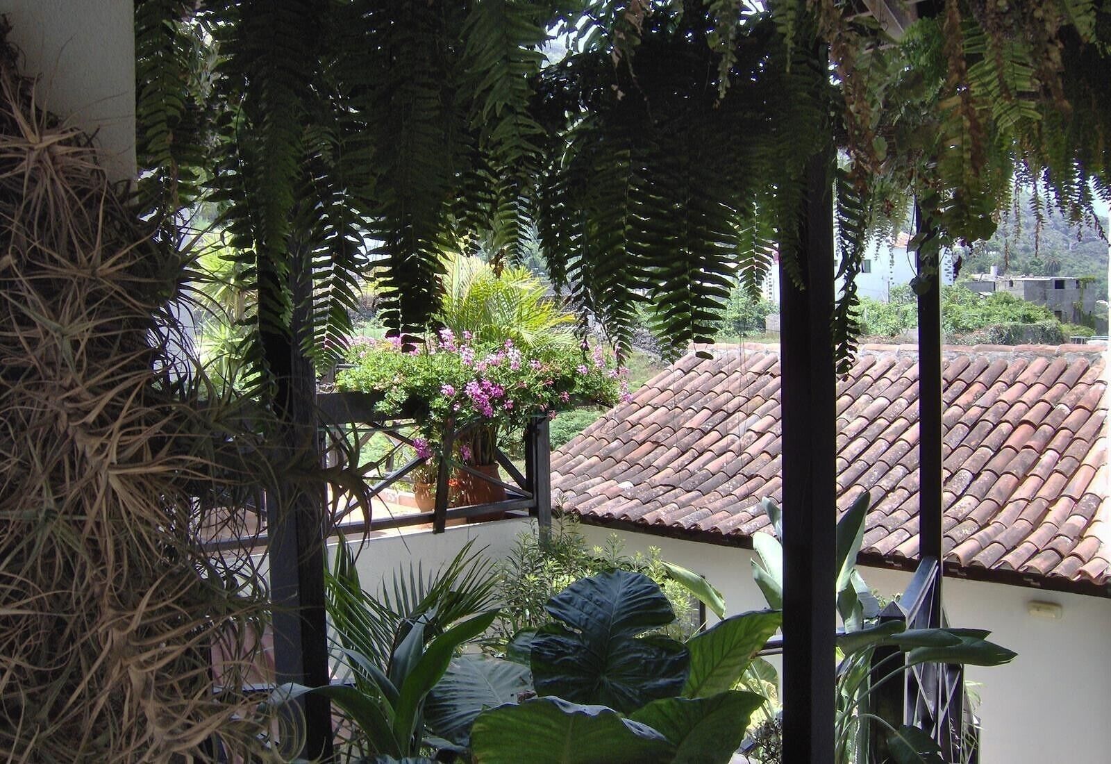 A courtyard with a tiled roof, potted plants, and a view of buildings in the background.
