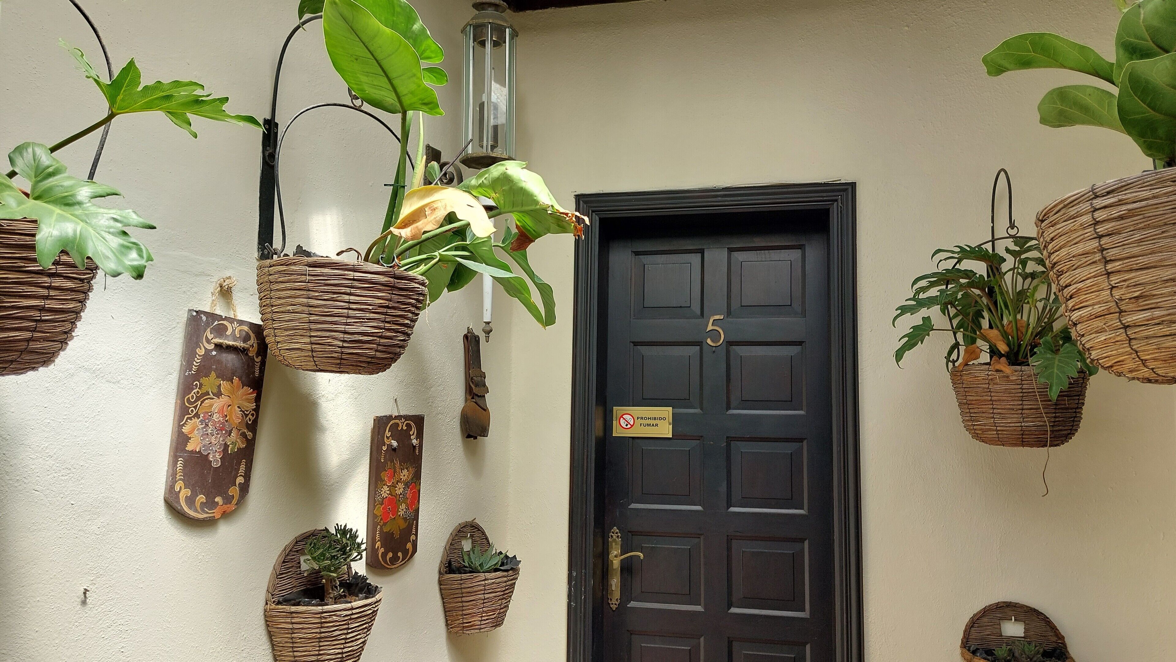 A door with a number plate, various hanging baskets with plants, and wall-mounted decorations.