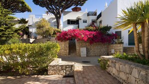 Un patio con paredes de piedra, un sendero pavimentado y un edificio de paredes blancas y contraventanas negras.