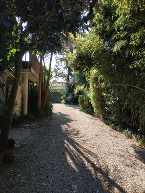 A gravel path flanked by dense foliage and a concrete structure.