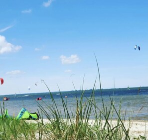 A beach with clear skies, a sandy shore, and several kites in the air.