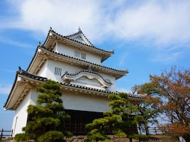 Un castillo japonés tradicional con varios niveles, rodeado de jardines y árboles bien cuidados.