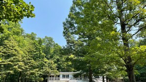 A house surrounded by a white picket fence, a grassy yard, and dense trees. - Cabana Too Smith Mountain Lake (Moneta)
