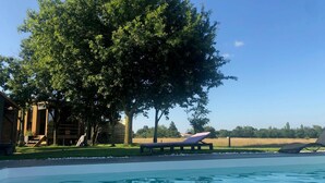 A swimming pool with lounge chairs and a large tree in the background.