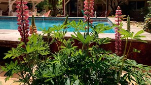 Outdoor pool - Kapera Maison D'hôtes (Macaye)