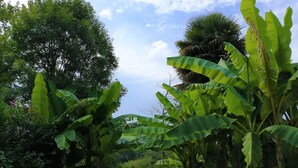 Garden - Kapera Maison D'hôtes (Macaye)