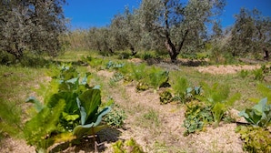 Jardín