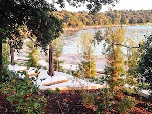Escape to a serene lakeside haven surrounded by lush trees and shrubs.