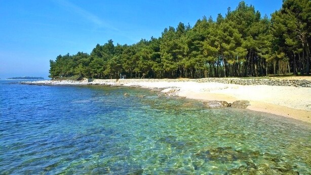 Beach - Apartments Dragica, (16564), Rovinj, hr (Rovinj)