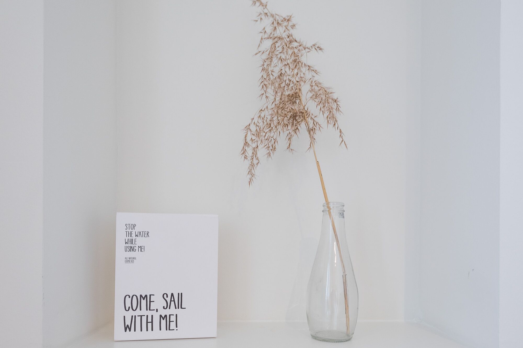 Un florero de vidrio transparente con una planta seca sobre una superficie blanca, sobre un fondo neutro.
