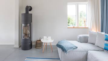 Televisión, chimenea