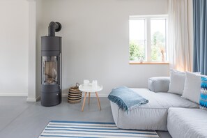 Fernseher, Kamin