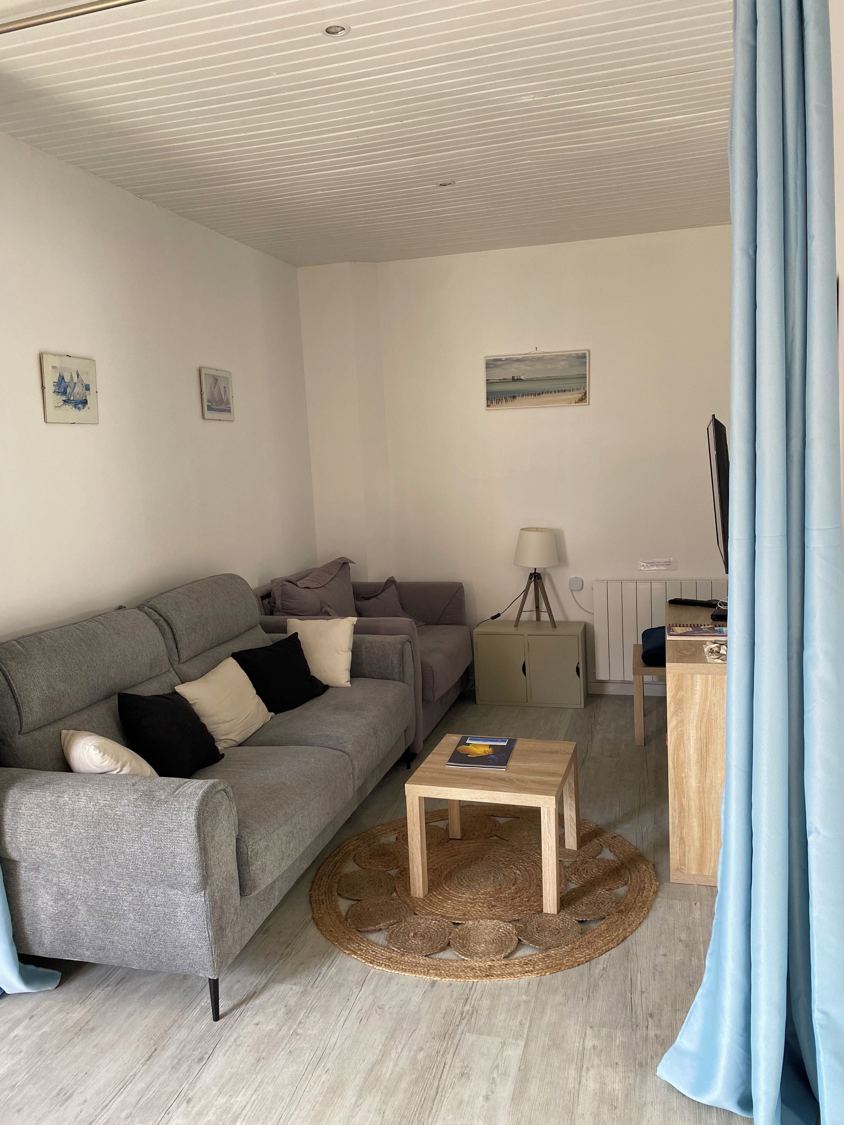 TV connectée, lecteur de DVD, livres