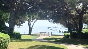 A pathway leading to a gate overlooking a marina with boats.