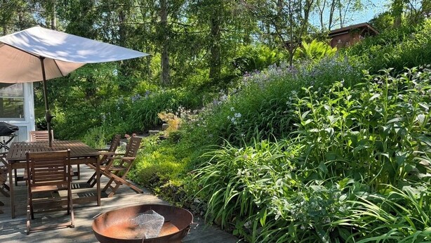 An outdoor deck with wooden furniture, a fire pit, and lush greenery. - Peacock Garden Cottage - Discounted for Winter Month Rental (Pine plains)