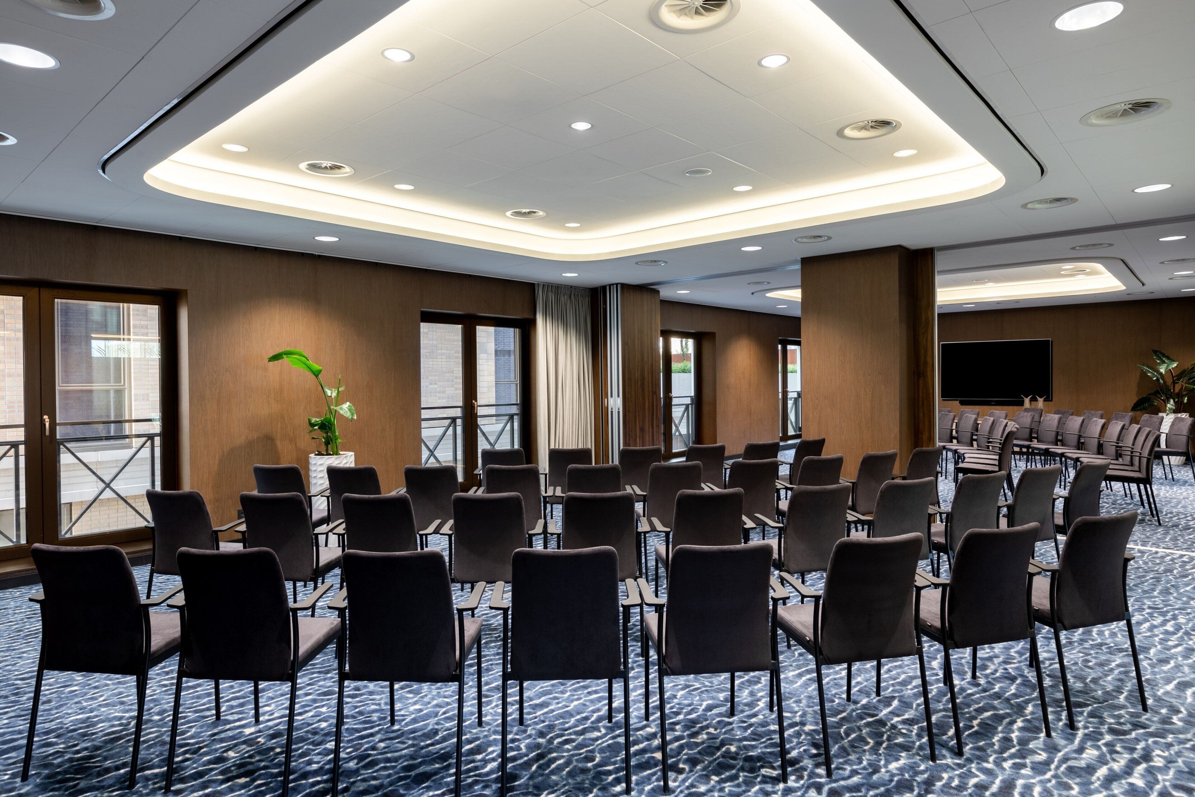 Un salón de conferencias con filas de sillas, una pantalla grande y una planta en maceta.
