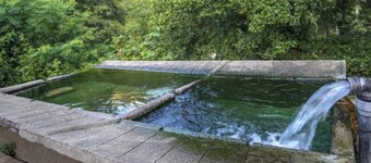 Rooms for rent guitera baths