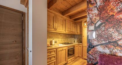 CIANDOLADA 3 Wellness