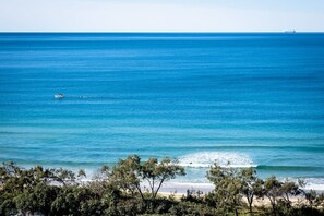 On the beach, beach umbrellas - Panoramic Ocean Views At Maroochydore (Maroochydore Region)