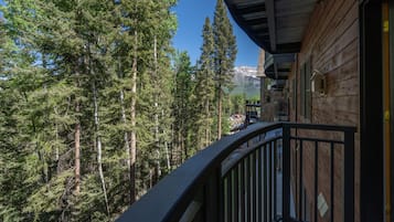 Àrea exterior de l'allotjament