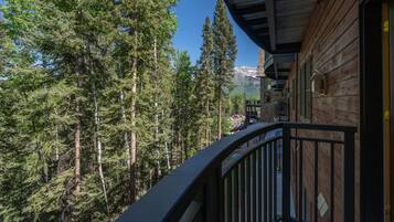 Àrea exterior de l'allotjament