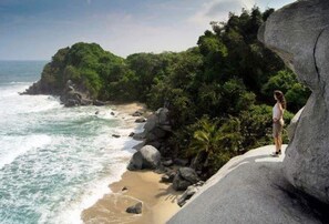Ein Strand mit felsigem Gelände und dichter Vegetation.