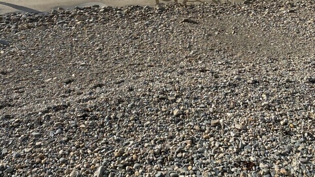 A beach with a heart-shaped design on the sand and the words "LOVE PLANTS" written inside it.