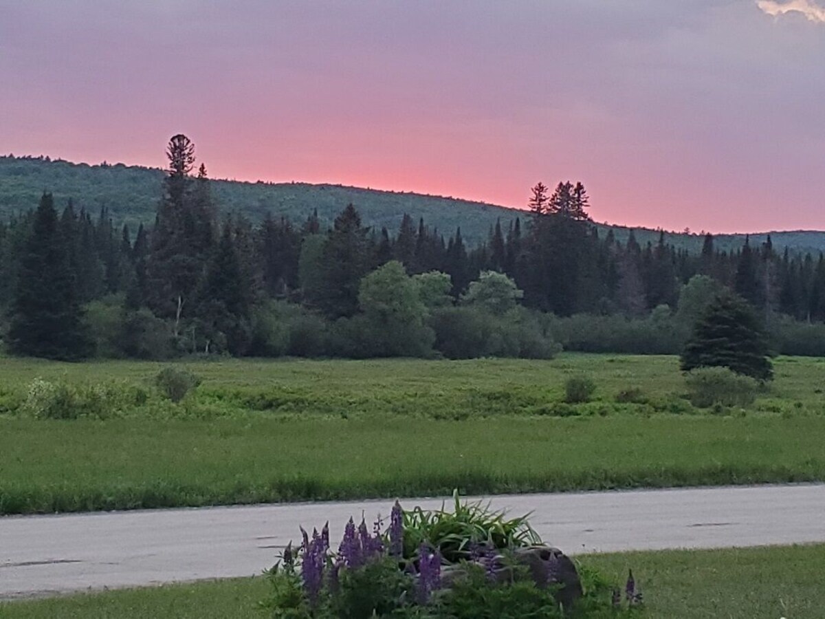 Värdens profilbild