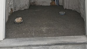 Habitación con suelo de concreto, una puerta blanca y tuberías visibles.