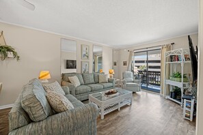 Flat-screen TV, DVD player