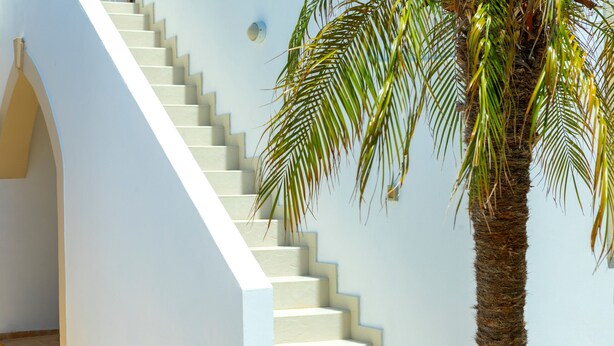 A staircase with white steps leading up to a landing, adjacent to a palm tree. - Protaras Villa Elena 3 (Protaras)