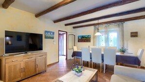 TV, fireplace, video games - Wonderful Villa Prisedi with Private Pool (Rakalj)