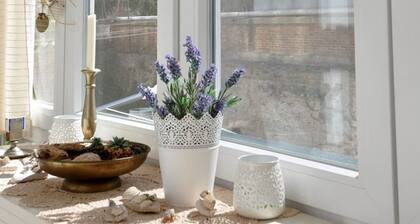 Amphitheater Art Apartment