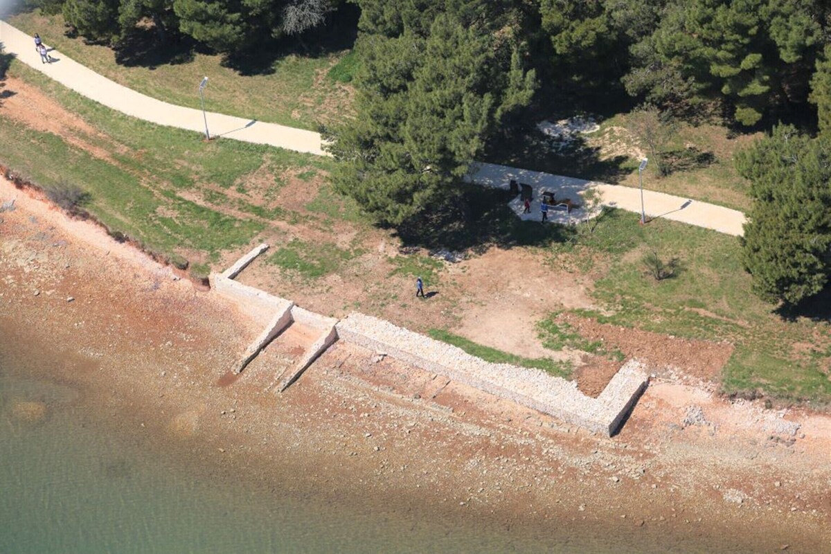 オーナーのプロフィール画像