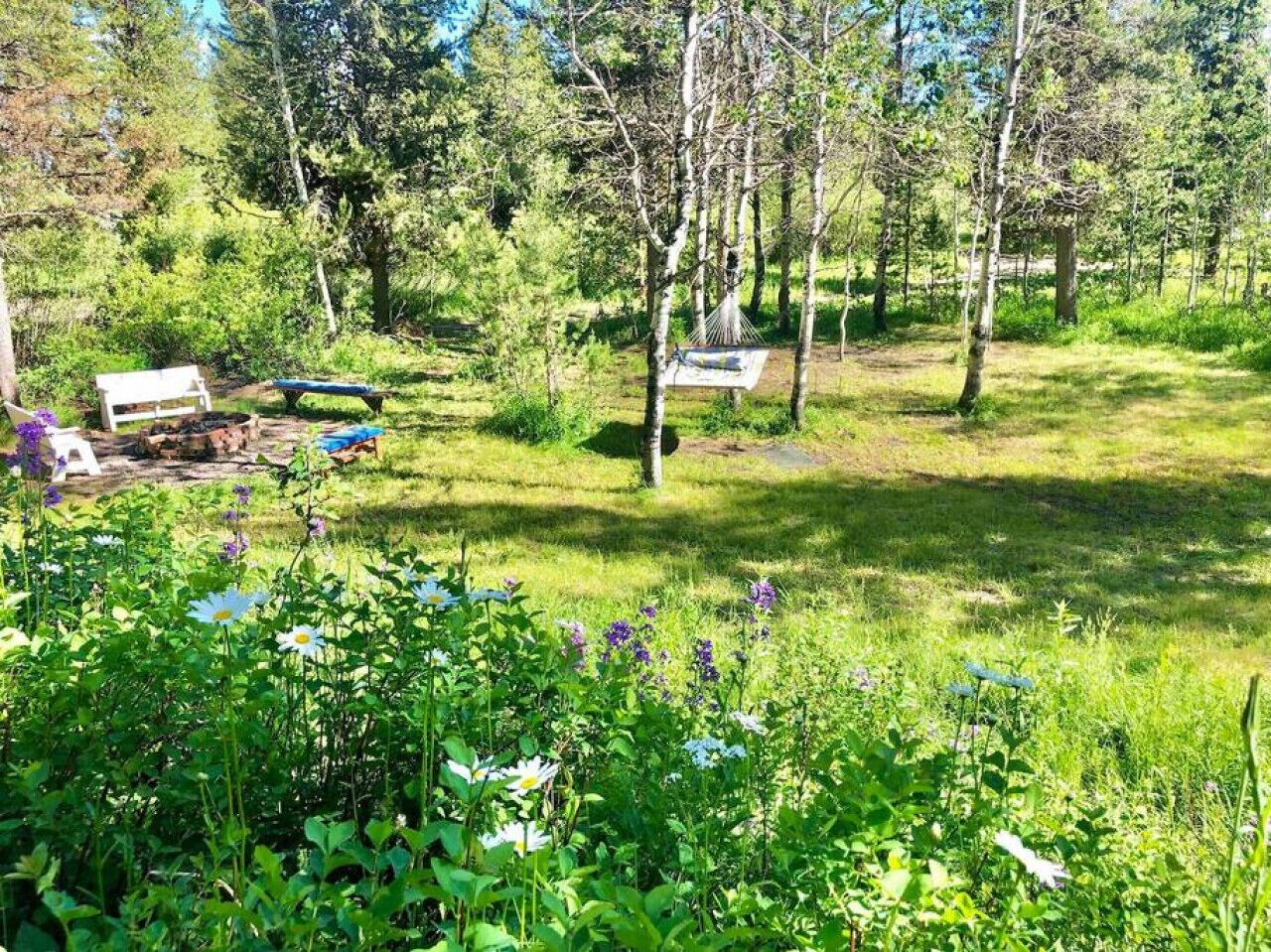 Un ambiente naturale all'aperto con un'amaca, una panchina e una barca.