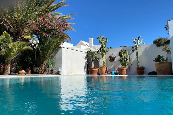 Privater Poolbereich mit Gartenansicht