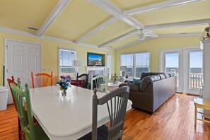 Télévision, cheminée, lecteur de DVD, livres